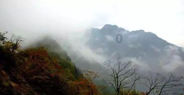 1月27日，山东青岛，研一哥哥帮初中妹妹开家长会，看到妹妹8门成绩总分66……